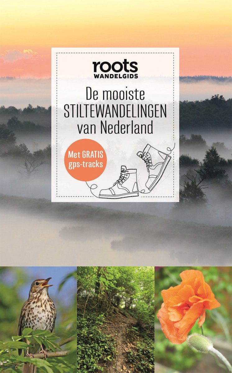 De mooiste stiltewandelingen van Nederland (ROOTS)